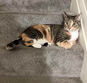 Photo of Zoe