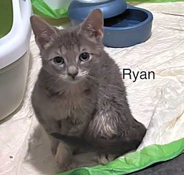 Photo of Ryan