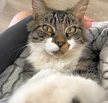 Photo of Abby