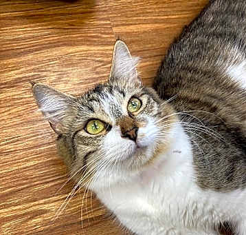 Photo of Hazel