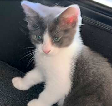 Photo of Charlie