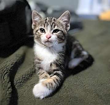 Photo of Nyx