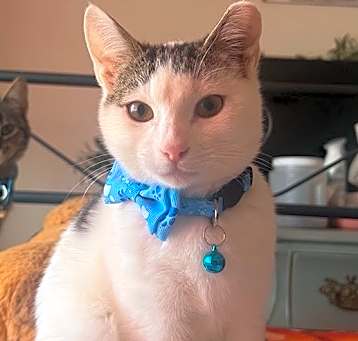 Photo of Alvin