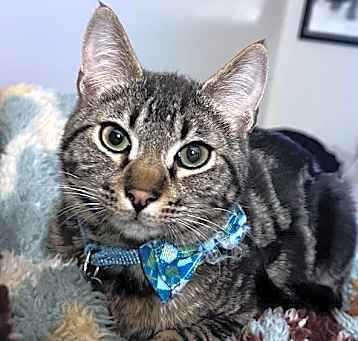 Photo of Simon