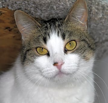 Photo of Lucy