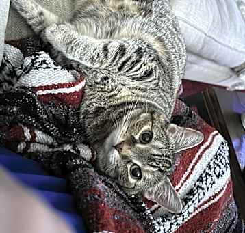 Photo of Lola