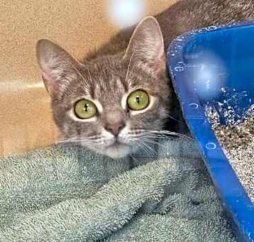 Photo of Storm