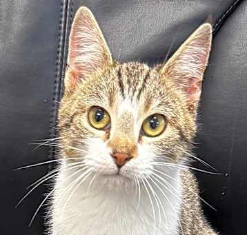 Photo of Dorothy