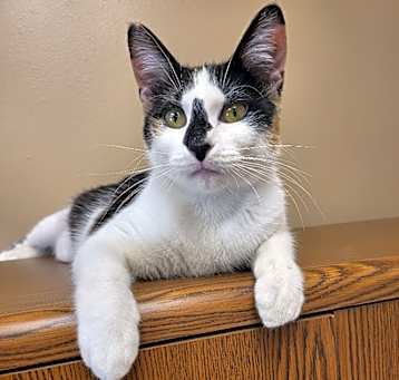Photo of Margi