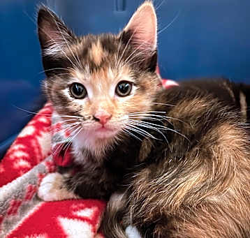 Photo of Zoe