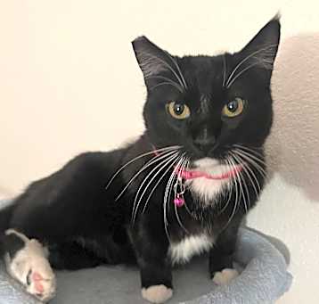 Photo of Bootsie