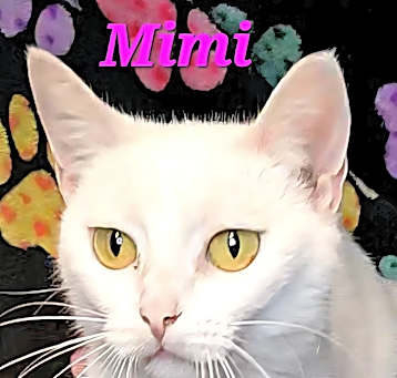 Photo of Mimi