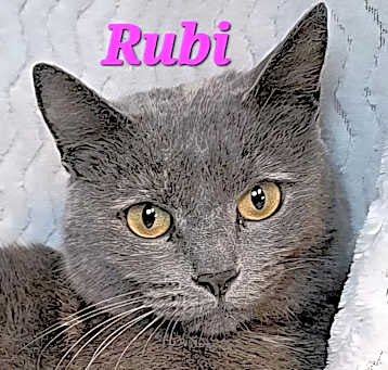 Photo of Rubi