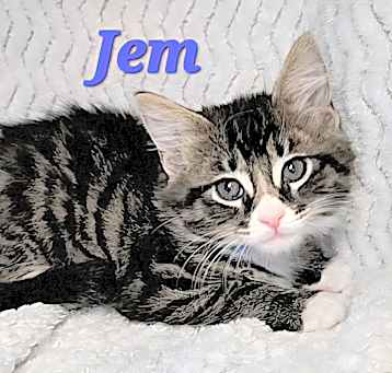 Photo of Jem