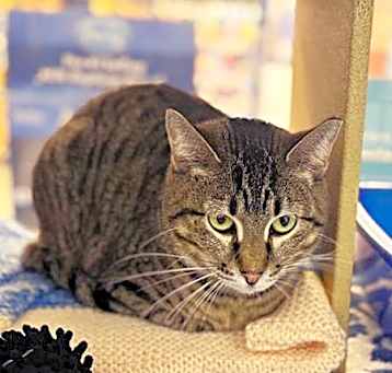 Photo of WILD THING