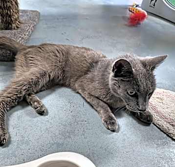 Photo of Stormy