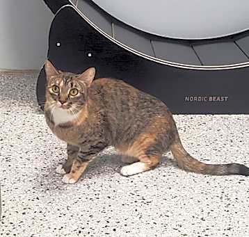 Photo of Luna