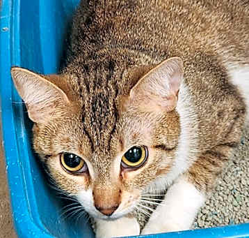 Photo of Mayla