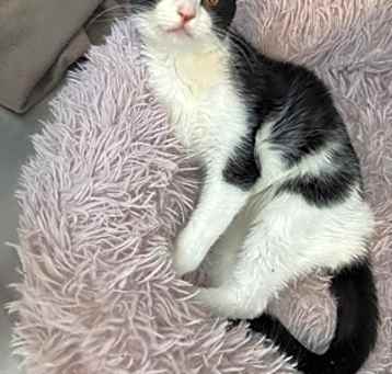 Photo of Smore