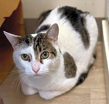 Photo of Sprout