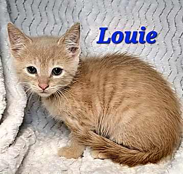 Photo of Louie