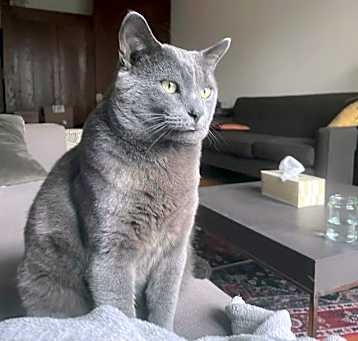 Photo of Luther