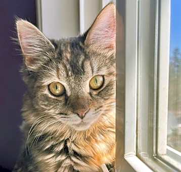 Photo of Maggie