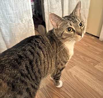 Photo of Pumpkin