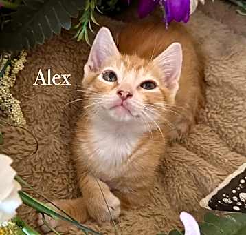 Photo of Alex