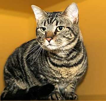 Photo of SWEETER