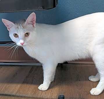 Photo of Reggie