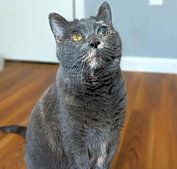 Photo of Lala