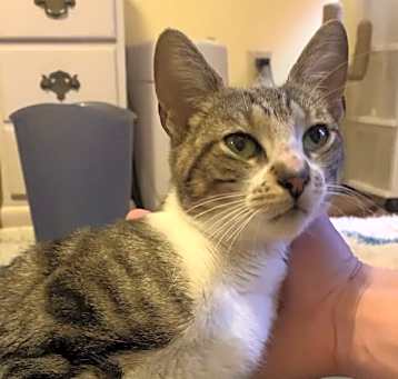 Photo of Kiwi