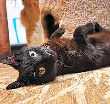 Photo of Jasper