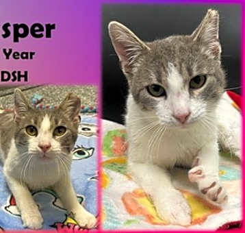 Photo of Jasper