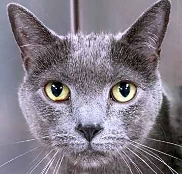 Photo of Peri Winkle