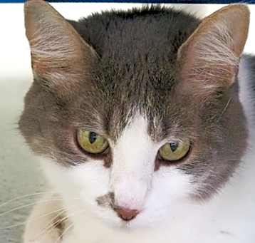 Photo of Miss Dora
