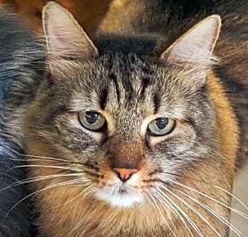 Photo of Angel