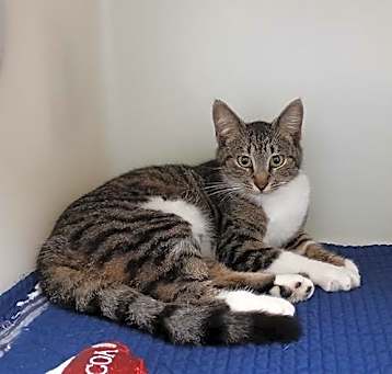 Photo of OLIVE
