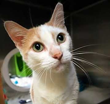 Photo of Aloha