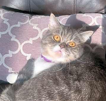 Photo of Oliver
