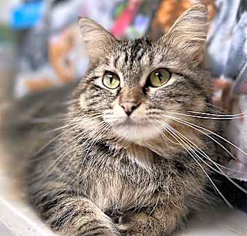 Photo of Fiona