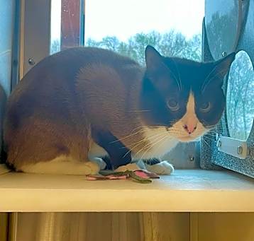 Photo of MONTY