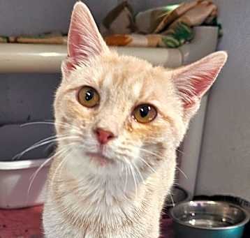 Photo of Taki