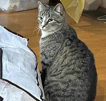 Photo of Buttons