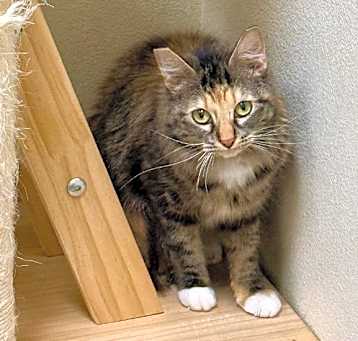 Photo of Libby