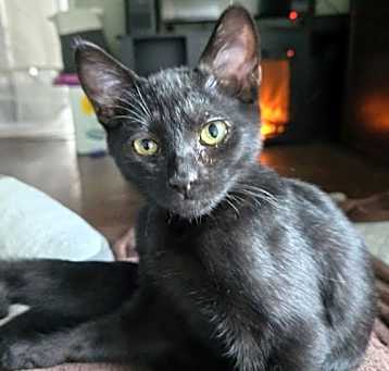 Photo of Walter