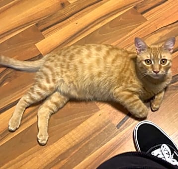 Photo of Jack