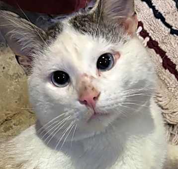 Photo of Stanley