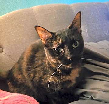 Photo of  Mara FKA Paloma
